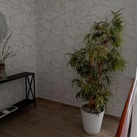 Vandrarhem Internacional *