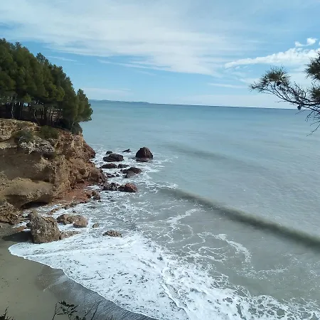 Internacional Miami Playa